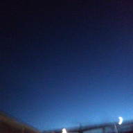 ふでとレモンさんのアイコン画像