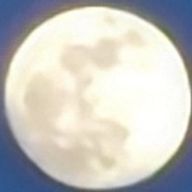 鈴亭さんのアイコン画像