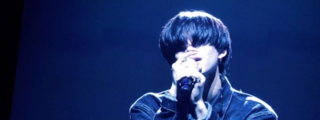 カメのきもちさんの壁紙画像