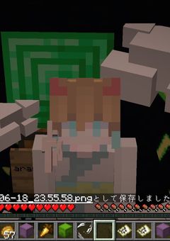 なしちゃのら民生活鯖日記