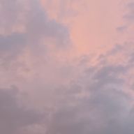 🧸音海🧸さんのアイコン画像