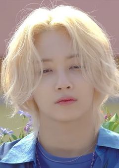 【 蝉 - セミ - 】