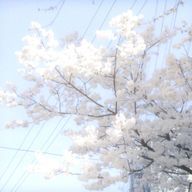 クスクス米さんのアイコン画像