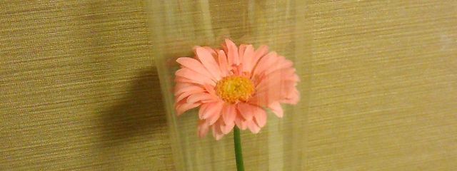 月原 よる＠不定期更新さんの壁紙画像