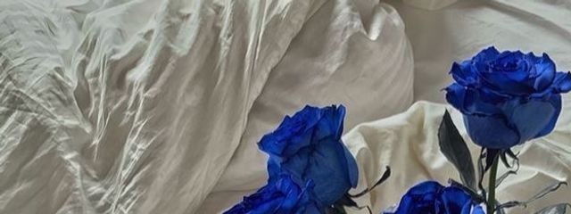カイザーイケメンすぎやろ🌹💙さんの壁紙画像