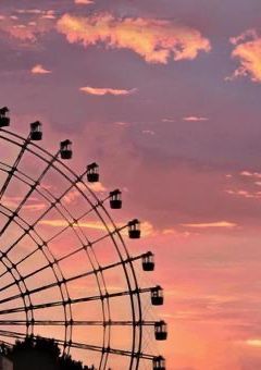 拝啓　今は亡き、大好きな君へ