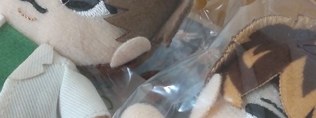 ten🌱💕さんの壁紙画像