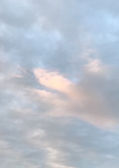 すたぽら物語！私の今後の活動