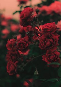 　永遠は存在するの🎵