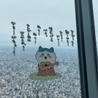 るりさんのアイコン画像