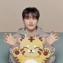 🐯