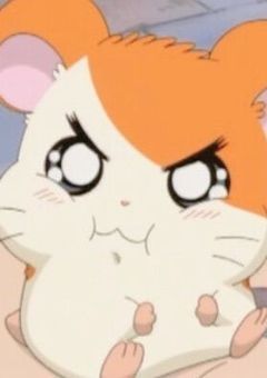 ⓉⒶⓁⓀ ⓇⓄⓄⓂ