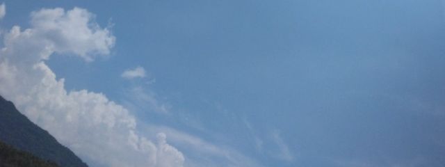 猫型リゾットさんの壁紙画像