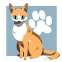 猫(凛)