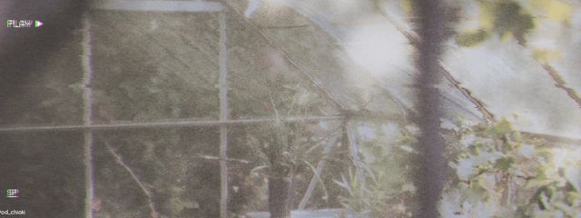 とあさんの壁紙画像