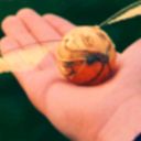 ハリー・ポッター