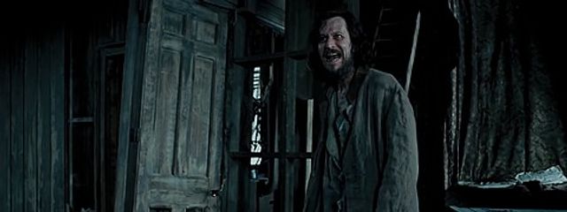 かんがるー🦘﻿さんの壁紙画像