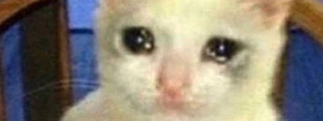 あいら岳٩( ᐛ )وさんの壁紙画像