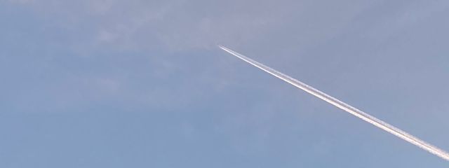 名無しさんの壁紙画像