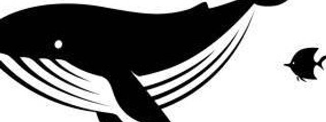 く じ ら さ ん  .さんの壁紙画像