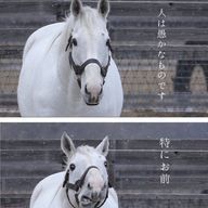 るちゃ#さんのアイコン画像