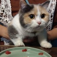 てるさんのアイコン画像