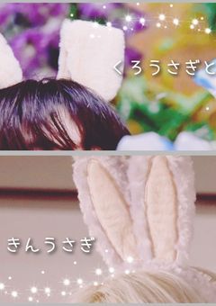 黒兎と金兎