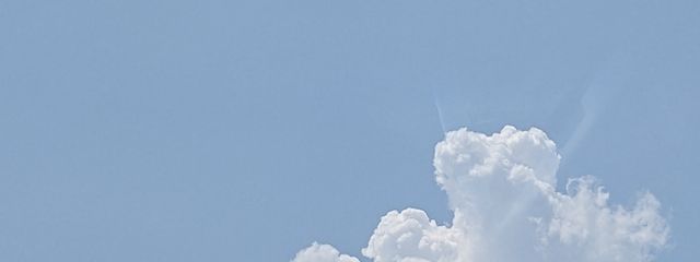 年中無休でねむいﾃﾞｽさんの壁紙画像