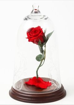 恋愛に年齢なんて関係ない