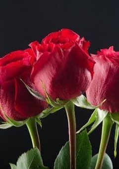 始まりは嘘（罰ゲーム）から