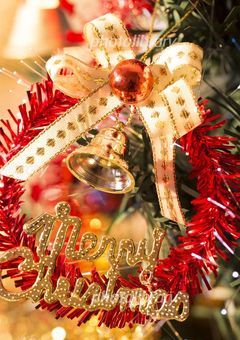 クリスマスに付き合う先輩後輩は．．．