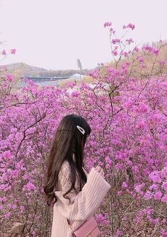マンネのInstagram