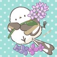 浅川エレンさんのアイコン画像