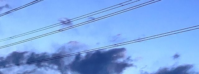 桜茶さんの壁紙画像