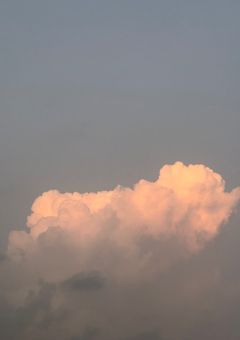先輩のトリコ