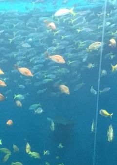 日記という名のお遊び場