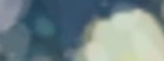 逆剥けさんの壁紙画像