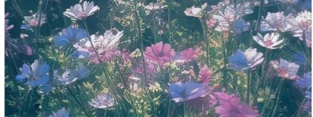 ひすいさんの壁紙画像