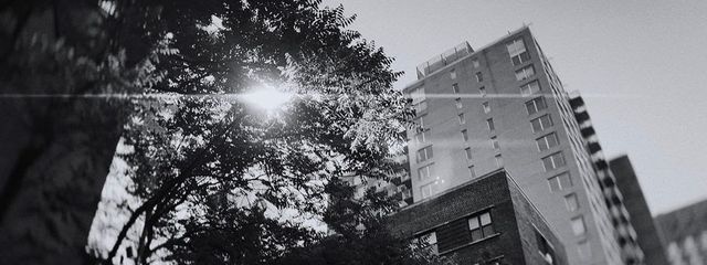 LYFV "さんの壁紙画像