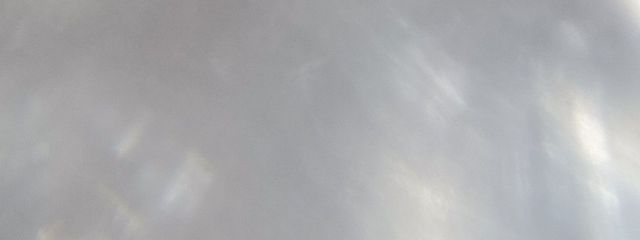 🍎さんの壁紙画像