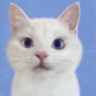 主体性さんのアイコン画像