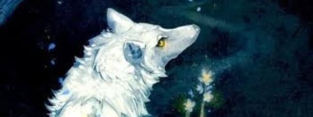 白豹さんの壁紙画像