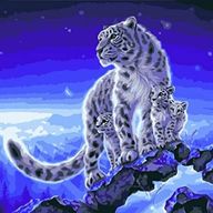白豹さんのアイコン画像