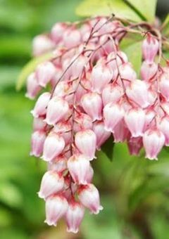 色々お知らせ等用ノート