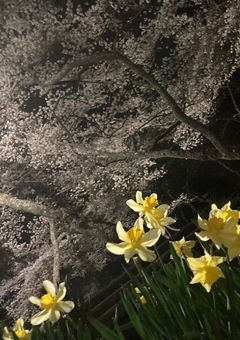 なんでも相談乗るで！