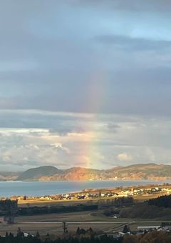 I started playing the game!