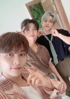 プレディスの優等生