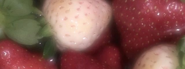 saran💟さんの壁紙画像