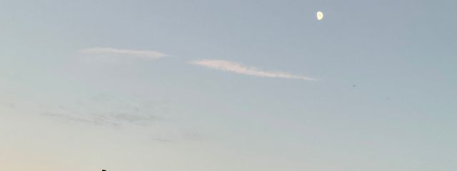 ユラギさんの壁紙画像