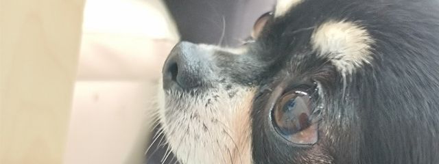 マーブル🟣🍒︎さんの壁紙画像